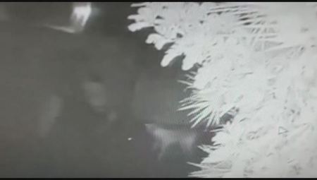 اعتقال مشتبه من جسر الزرقاء بالاعتداء المتكرر على زوجته